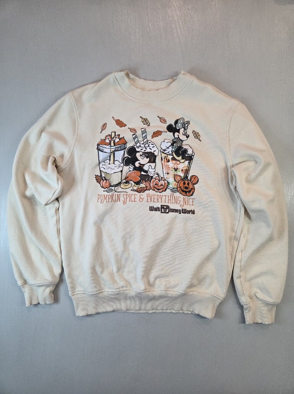 Walt Disney World Pumpkin Spice And Everything Nice Sweater